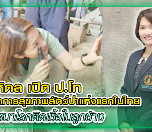 ปก ม.มหิดล เปิด ป.โท