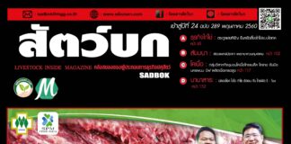 นิตยสารสัตว์บก ฉบับ 289