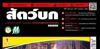 นิตยสารสัตว์บก ฉบับ 297