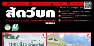 นิตยสารสัตว์บก ฉบับ 303