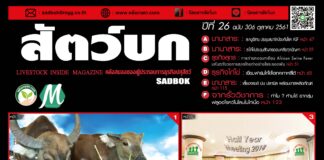 นิตยสารสัตว์บก ฉบับ 306