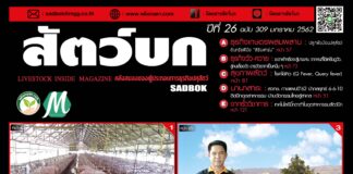 นิตยสารสัตว์บก ฉบับ 309