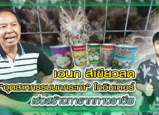 ปก เอนกนกกระทาฟาร์ม