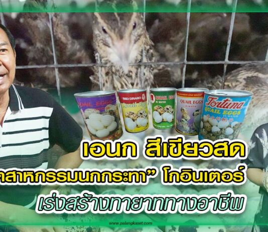 ปก เอนกนกกระทาฟาร์ม