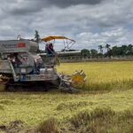 2.เก็บเกี่ยวข้าวได้ทุกสภาพพื้นที่ ทั้งข้าวนาปรัง นาปี