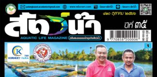 ปก นิตยสารสัตว์น้ำ ฉบับ 410