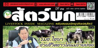 ปก นิตยสารสัตว์บก ฉบับ 366