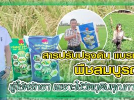 ปก สารปรับปรุงดิน พืชสมบูรณ์