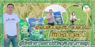 ปก สารปรับปรุงดิน พืชสมบูรณ์