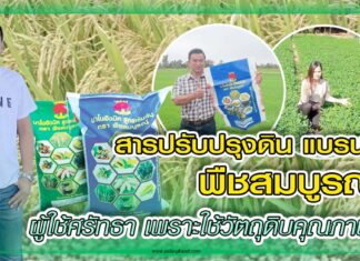 ปก สารปรับปรุงดิน พืชสมบูรณ์