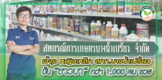 ปก เจ๊จุง บางน้ำเปรี้ยว