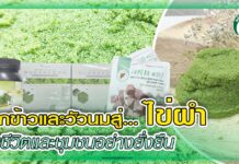 ปก ไข่ผำ