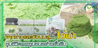 ปก ไข่ผำ