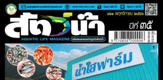 ปก นิตยสารสัตว์น้ำ ฉบับ 411