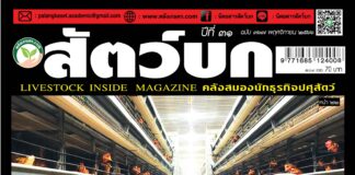 ปก นิตยสารสัตว์บก ฉบับ 367