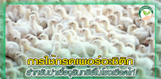 ปก การใช้กรดเพอร์อะซิติก