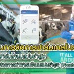 ปก ดีลาวาล เดลโปร