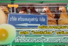 ปก ตรัยมงคลกูลฟาร์ม