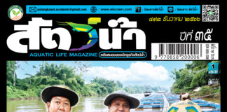 ปก นิตยสารสัตว์น้ำ ฉบับ 412