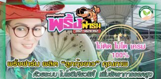 ปก พริ้งฟาร์ม