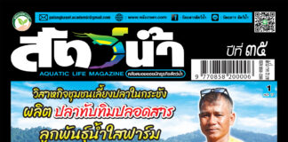 ปก นิตยสารสัตว์น้ำ ฉบับ 413