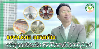 ปก แดงน้อย แทนไทยเฟิร์สเทค