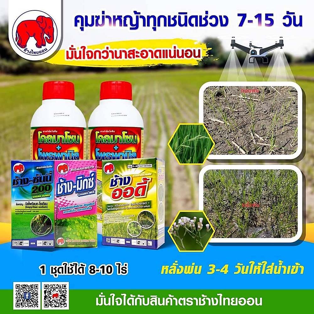 4.ช้างไทยออน04