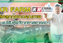 ปก KR FARM