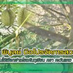 ปก รับจ้างโยงทุกเรียน