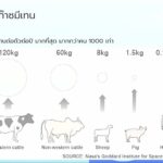 3.ฟาร์มโคนม BCG03