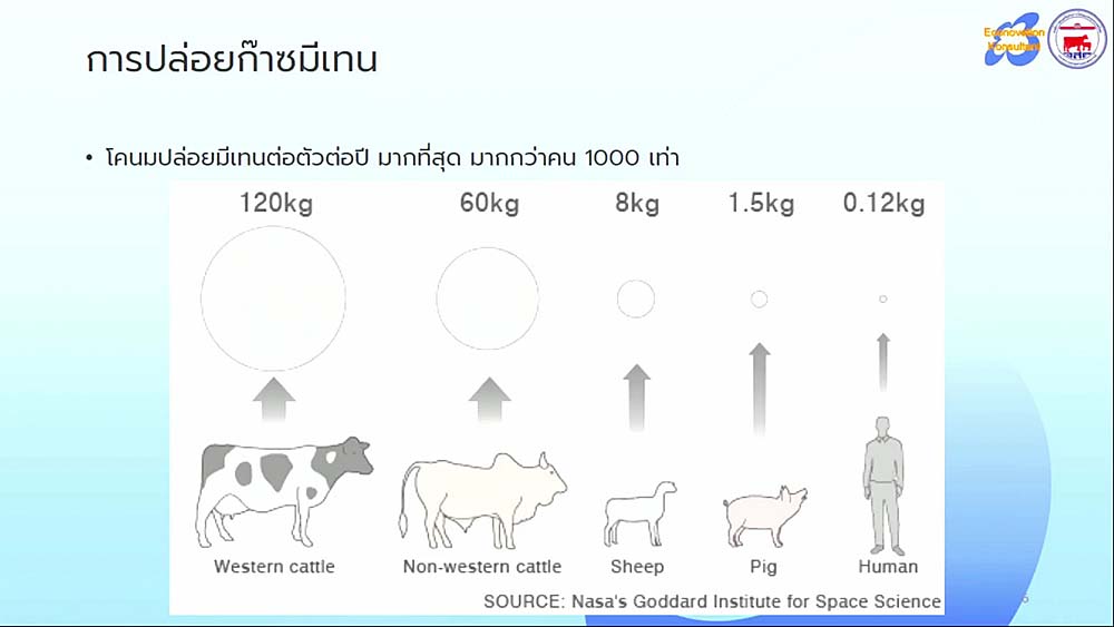 3.ฟาร์มโคนม BCG03