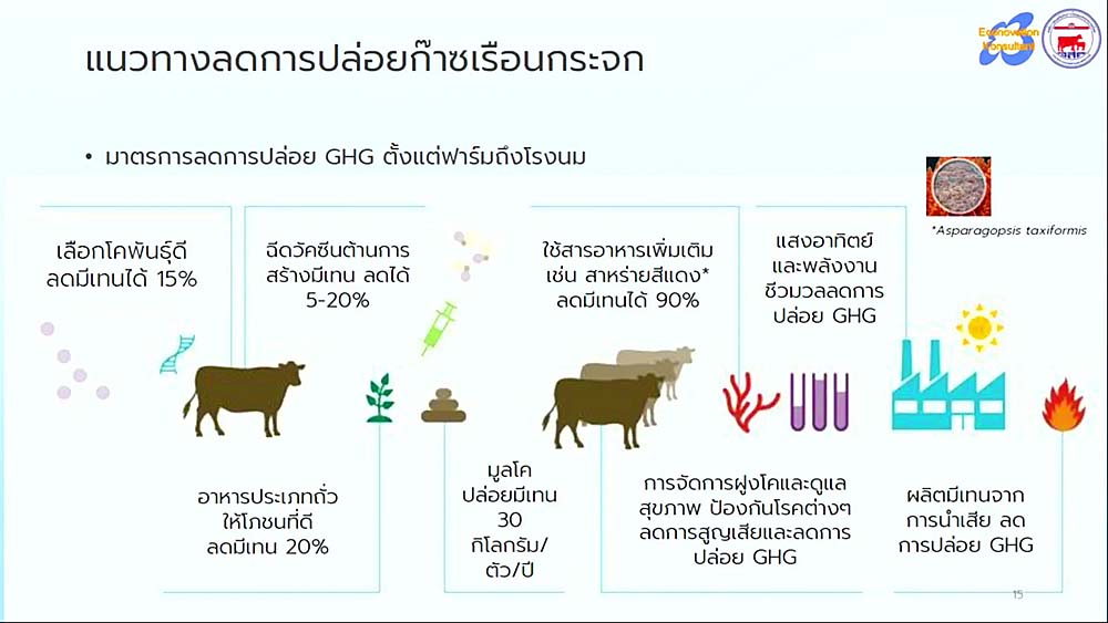 6.ฟาร์มโคนม BCG06