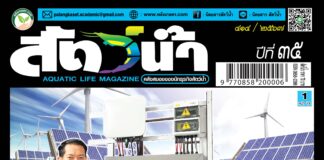 ปก นิตยสารสัตว์น้ำ 414