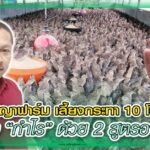 ปก สัตว์บก 370 – ฟาร์มนกกระทา คุณบอย