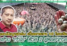 ปก สัตว์บก 370 - ฟาร์มนกกระทา คุณบอย