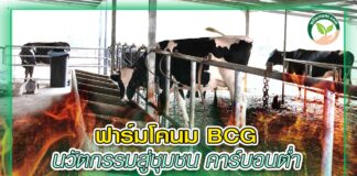 ปก สัตว์บก 370 - ฟาร์มโคนม BCG