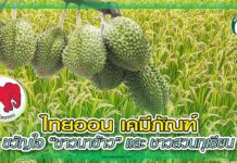 ปก แนะนำผลิตภัณฑ์ ไทยออน