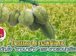 ปก แนะนำผลิตภัณฑ์ ไทยออน