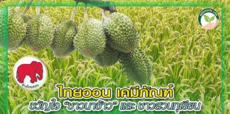 ปก แนะนำผลิตภัณฑ์ ไทยออน