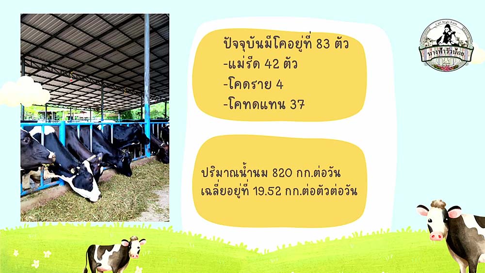 3.โคนม03