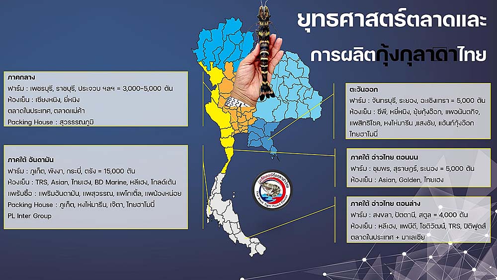 4.กุ้งดำ04