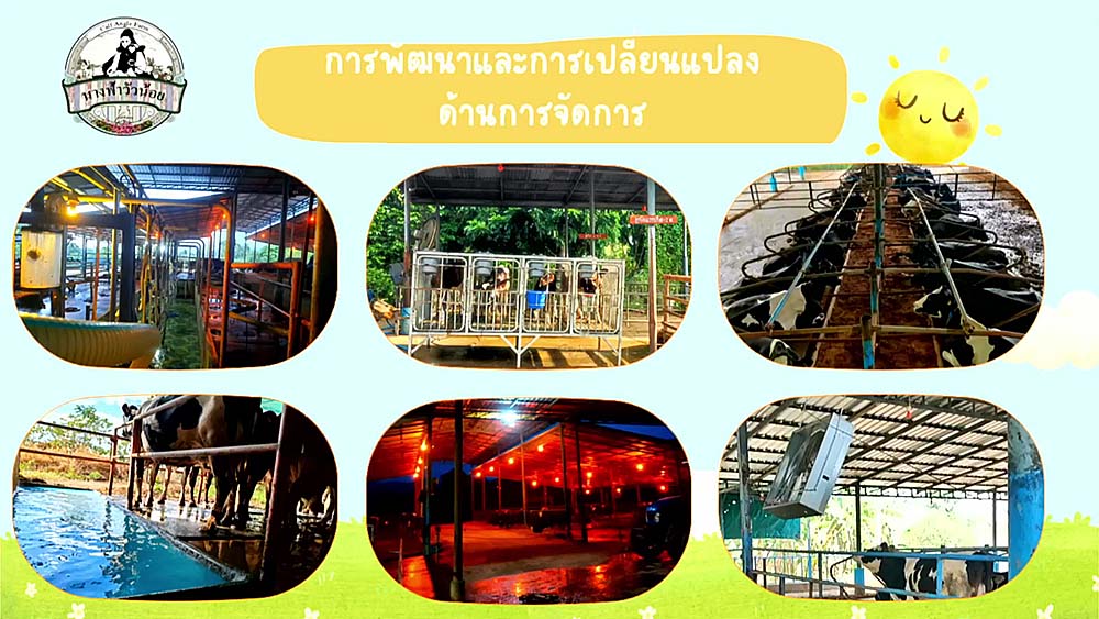 5.โคนม05