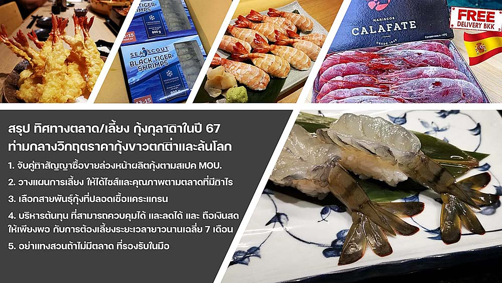 8.กุ้งดำ08