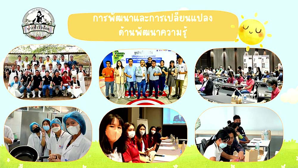 8.โคนม08