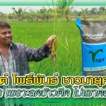 ปก พลังเกษตร 38 – ปุ๋ยโวก้า copy