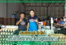 สัตว์บก 370 - รังษีฟาร์มล้งไข่ copy