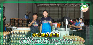 สัตว์บก 370 - รังษีฟาร์มล้งไข่ copy