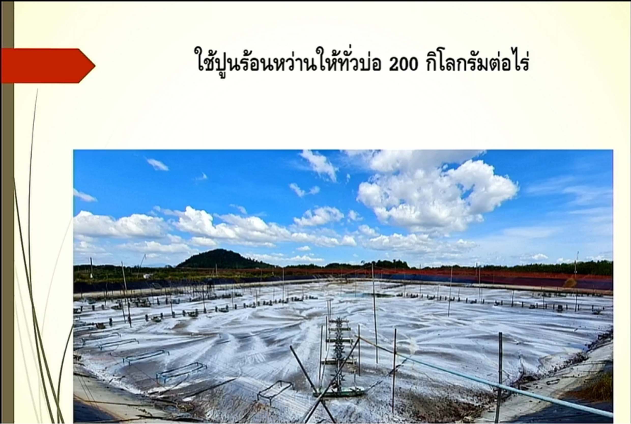 6.เจี๊ยบ06