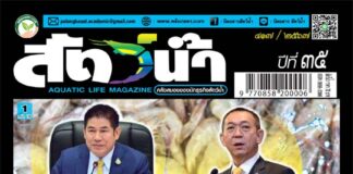 ปก นิตยสาร สัตว์น้ำ ฉบับ 417 (พฤษภาคม 2567)