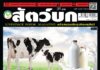 นิตยสารสัตว์บก ฉบับ 373 ปก นิตยสาร สัตว์บก ฉบับ 373 (พฤษภาคม 2567)
